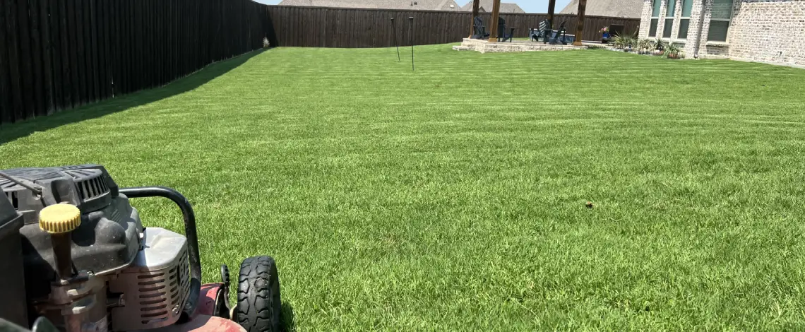 lawn maintenance for texas properties